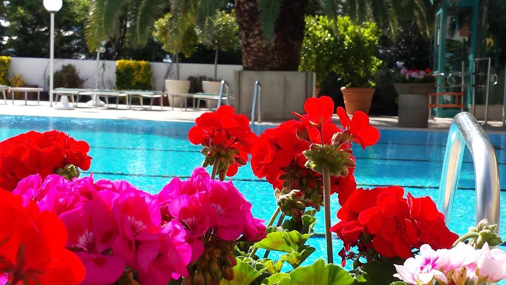 Hotel Cormoran กัตตอลิกา ภายนอก รูปภาพ