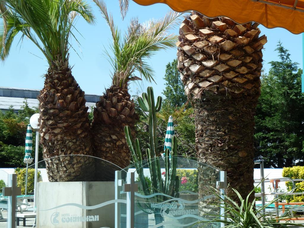 Hotel Cormoran กัตตอลิกา ภายนอก รูปภาพ